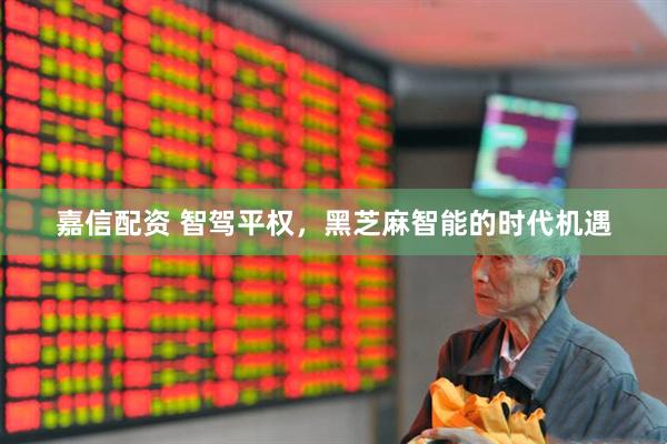 嘉信配资 智驾平权，黑芝麻智能的时代机遇