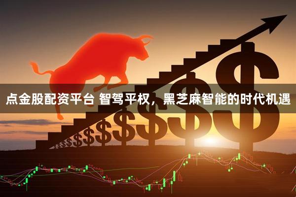 点金股配资平台 智驾平权，黑芝麻智能的时代机遇