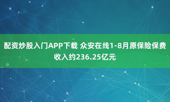 配资炒股入门APP下载 众安在线1-8月原保险保费收入约236.25亿元