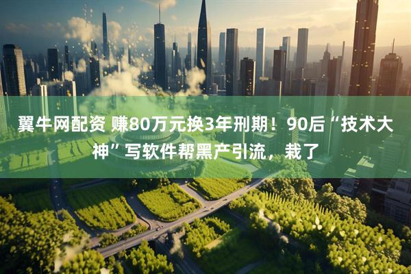 翼牛网配资 赚80万元换3年刑期！90后“技术大神”写软件帮黑产引流，栽了