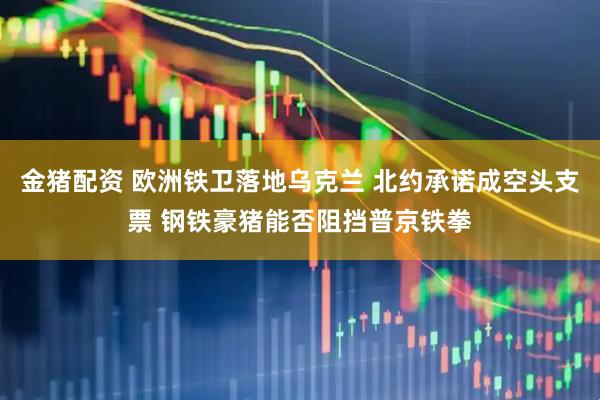 金猪配资 欧洲铁卫落地乌克兰 北约承诺成空头支票 钢铁豪猪能否阻挡普京铁拳
